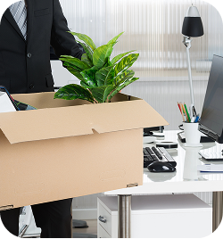 Specialty Item Removal